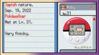 The World's First Pokewalker Shiny Hunt! | Live Shiny Wailmer after 5 Months (2341 Transfers)!