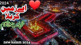 Ay zamin e karbala Tere Nasiban no salam/Beautiful kalam 2024 AMMAR HAIDRI HAIDRI #manqabat #karbla