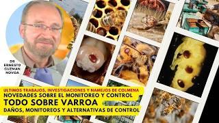 VARROA: Ultimas Investigaciones en el Mundo sobre Monitoreo y Alternativas de Control IMPERDIBLE