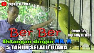 KEMBALINYA SANG MAESTRO||VLOG KECIAL JUARA||BER BER 1000 EKOR AYAM||BROTHER'S CIAK