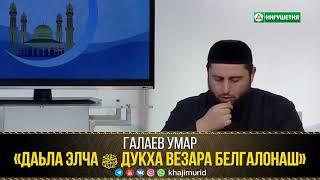 «Даьла Элча ﷺ дукхавезара белгалонаш» — Галаев Умар l Ингушетия