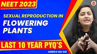 Sexual Reproduction in Flowering Plants With Last 10 years PYQs | NEET 2023 | NEET Biology