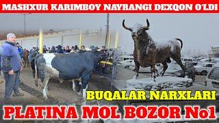 PLATINA MOL BOZOR BUQALAR NARXLARI TAROZIDAGI NARXLAR DAXSHAT KARIMBOY SINDIRDI XAMMANI