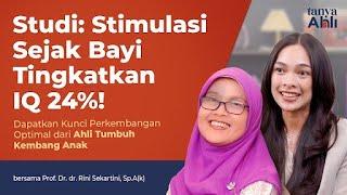 Stimulasi Sejak Bayi Tingkatkan IQ 24%! Kunci Perkembangan Optimal dari Ahli Tumbuh Kembang Anak