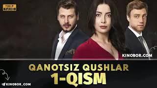 Qanotsiz qushlar 1 qism uzbek tilida // Qanotsiz qushlar 1 qism o'zbek tilida 1 2 3 Qanotsiz qushla