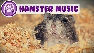 Music for Hamsters - Calming Music to Relax Your Hamster!