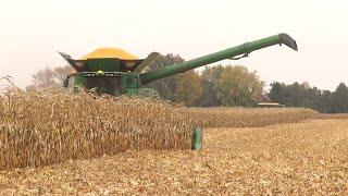 Corn Harvest 2020 | John Deere S780 Combine harvesting corn | Ontario, Canada