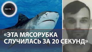 Акула съела россиянина в Египте | Все подробности трагедии на курорте Хургада | Что с акулой?