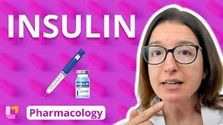 Insulin - Pharmacology - Endocrine System | @LevelUpRN