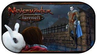 NEVERWINTER: Ravenloft  09 - Verschwunden in Ruinen & Das Symbol der Raben