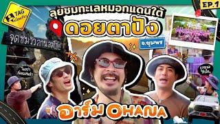 [FULL EP.1] "อาร์ม OHANA" ลุยชมทะเลหมอกแดนใต้ ดอยตาปัง จ.ชุมพร | TAG เพื่อนเที่ยว