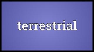 Terrestrial Meaning