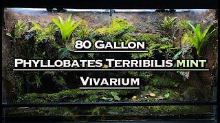 80 Gallon Phyllobates Terribilis Mint Bioactive Vivarium
