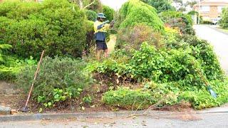 These Garden Beds were Like a Jungle (Watch us Clean it Up)!