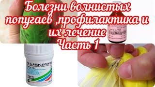 БОЛЕЗНИ У ВОЛНИСТЫХ ПОПУГАЕВ ЧАСТЬ1 / СИМПТОМЫ КЛЕЩА / ПРОФИЛАКТИКА И ЛЕЧЕНИЕ.