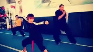 Wushu Shaolin Kung Fu Training