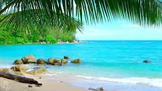  Tropical Beach Ambience on a Island in Thailand with Ocean Sounds For Relaxation & Holiday Feeling