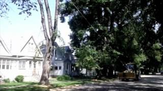 Bringing down a tree in Winnipeg