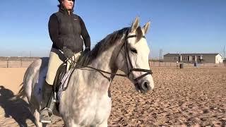 2022 TBEA April Dressage Show for Pearl and Katie Purdy - Training Level Test 2