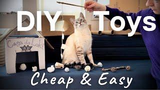 The best cheap DIY cat toys: Easily keep your cat happy & entertained for FREE!