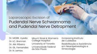 Laparoscopic Excision of Pudendal Nerve Schwannoma and Pudendal Nerve Detrapment