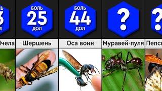 Самые Болезненные Укусы Насекомых