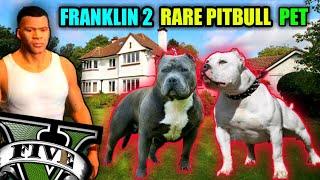 FRANKLIN GOT 2 RARE AGRESSIVE PITBULL PET /FRANKLIN REPLACES CHOP #17 GTA V GAMEPLAY