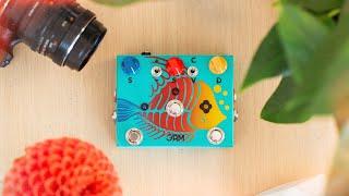 Jam Pedals Ripply Fall: 100% analog multi-modulation bliss!