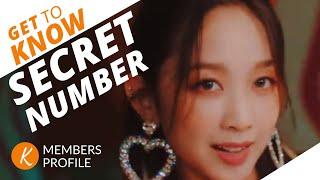 SECRET NUMBER MEMBERS PROFILE & FACTS (Birth Names, Positions etc..)[GET TO KNOW K-POP]