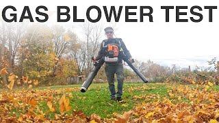 I Tested 10 Gas Blowers