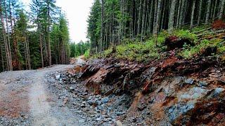 Entire Logging Road Made With Copper, Silver, Gold Bearing Rocks!