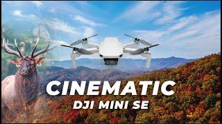 DJI Mini SE Cinematic Fall In the Mountains Footage 4K | Peak Leaf Season + Elk