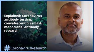 Explained Simply: Coronavirus Antibody Testing, Convalescent Plasma & Monoclonal Antibodies Research