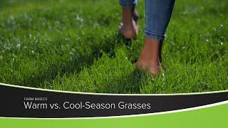 Warm vs. Cool-Season Grasses
