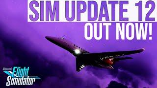 Sim Update 12 RELEASED to Microsoft Flight Simulator | Patch 1.31.22.0