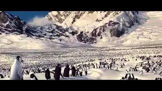 Animation Movies % Walt Disney = Comedy Movies English # Adventure Movies HD