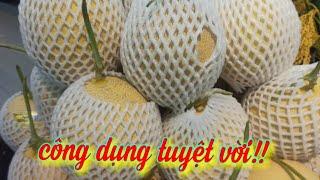 9 công dụng tuyệt vời của quả dưa lưới