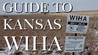 Finding Success on Kansas WIHA -- How to pick the right fields for pheasant and quail