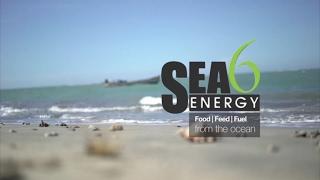 Sea6 Energy - Farming the oceans for a sustainable future