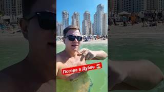 Погода в Дубае - можно ли купаться зимой? Пляж Дубай Марина JBR #дубай #путешествия