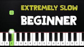 Rush E | EXTREMELY SLOW BEGINNER Piano Tutorial