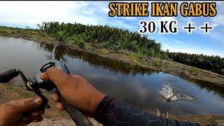 fishing for 30 kg snakehead fish in an amazing spot