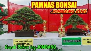 PAMNAS BONSAI JOMBANG 2021 BERTABUR BINTANG || INSPIRASI BONSAI