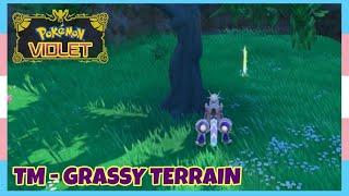 Where To Find TM Grassy Terrain In Pokemon Scarlet & Violet | Location Quick Guide