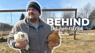 He digs; I cook: Behind the Homestead