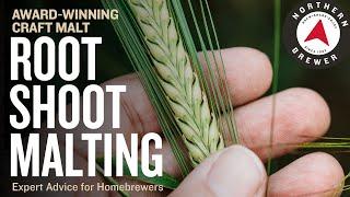 World-Class Craft Malt for Homebrewers | Root Shoot Malting