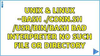 Unix & Linux: -bash: ./conn.sh: /usr/bin/bash: bad interpreter: No such file or directory