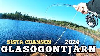 FISKE I DALARNA - GLASÖGONTJÄRN 2024