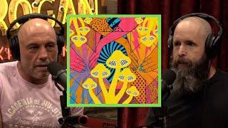 The Disturbing Truth About Psychedelics (2024) | Joe Rogan & Duncan Trussell