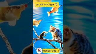 cat vs fish  fight  #animals #animation #shorts